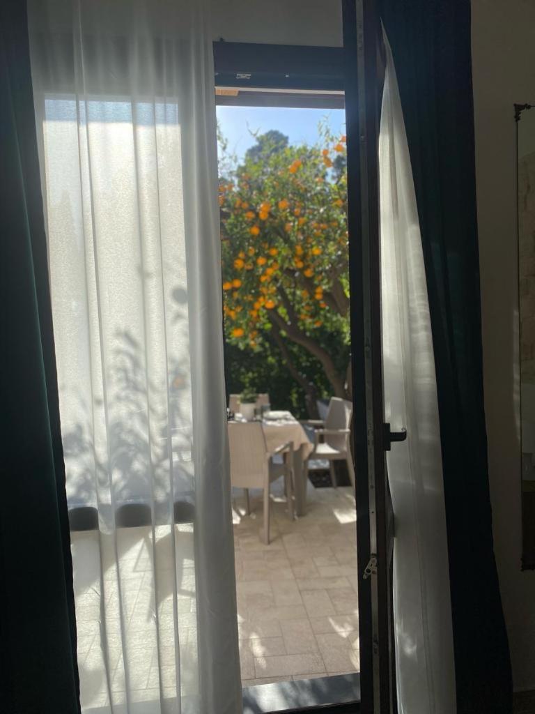 Casa Vacanza Il Mandarino Viagrande Exterior photo