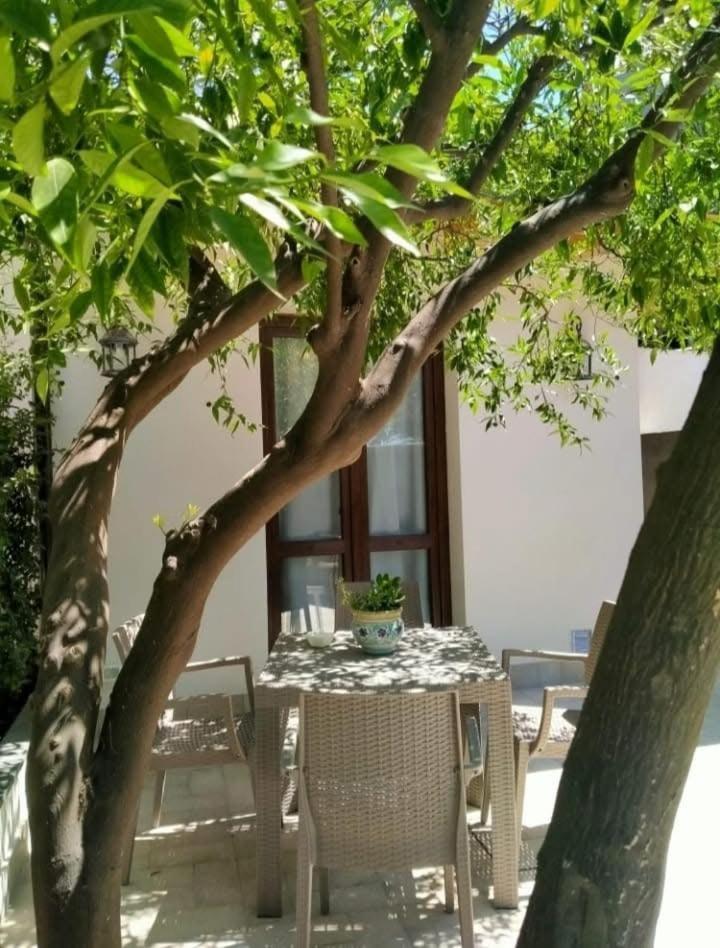 Casa Vacanza Il Mandarino Viagrande Exterior photo